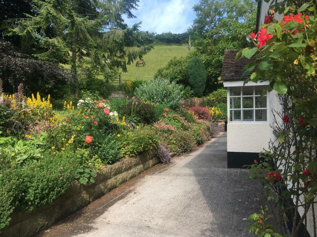 Pardlestone Farm Cottages Kilve Exterior photo