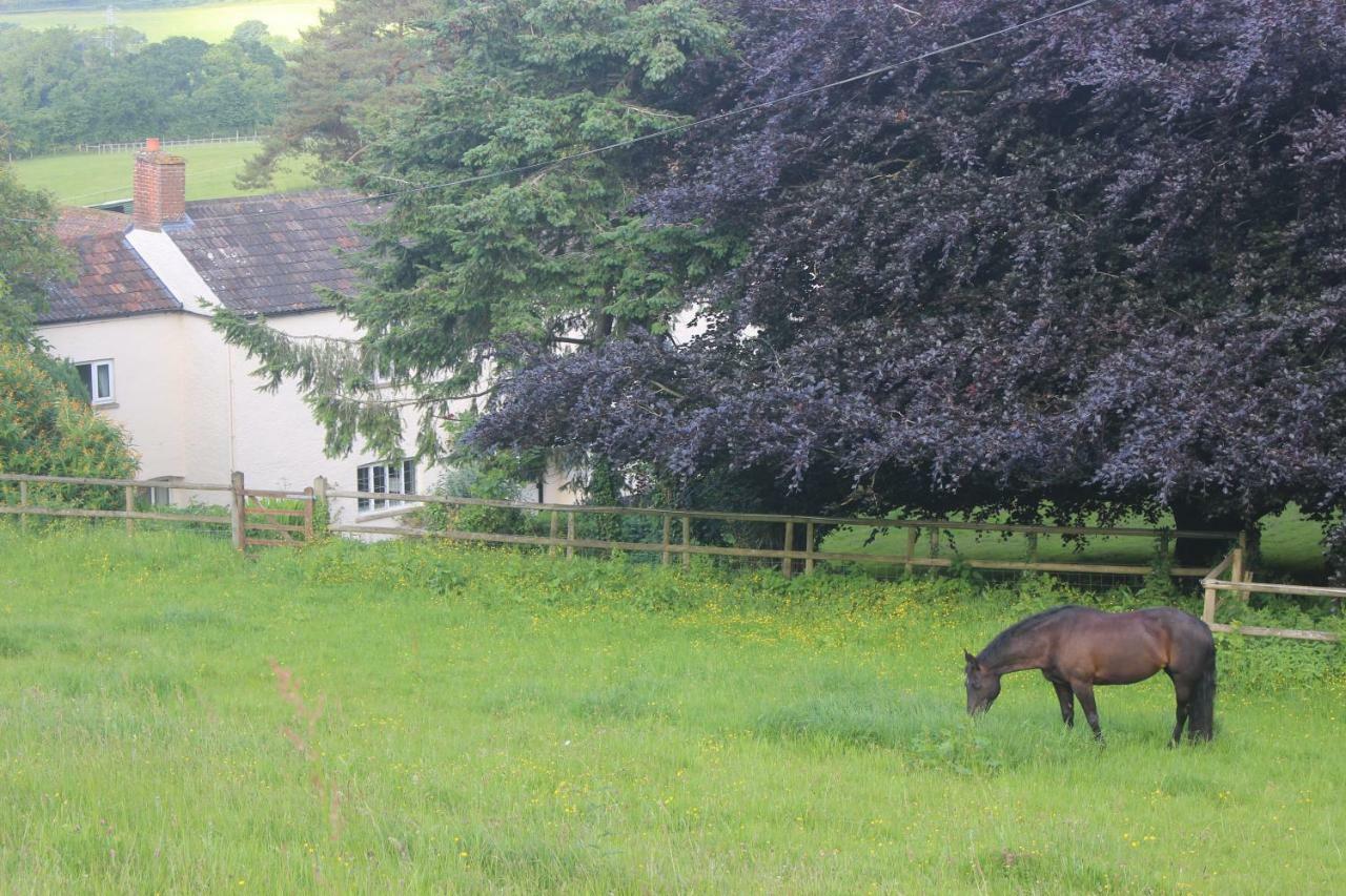 Pardlestone Farm Cottages Kilve Exterior photo