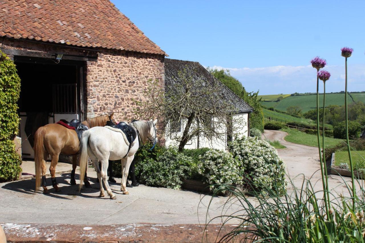 Pardlestone Farm Cottages Kilve Exterior photo